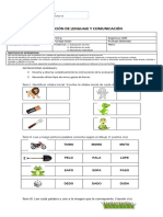 Prueba M, P, L, S, D y T