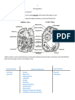 Kami Export - Rishabh Roy - Cell Organelles 2