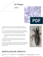 Trypanosoma Cruzi y Gambiense