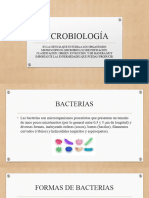 MICROBIOLOGIA