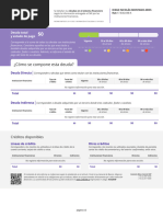 Informe Deudas PDF