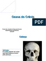 8 - Ossos Do Crânio