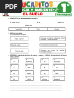 El Suelo para Primer Grado de Primaria