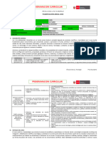 PLAN ANUAL DE CyT - 4°