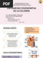 Enfermedades Degenerativas de La Columna Vertebral