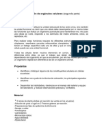 Práctica Observación de Orgánulos Celulares