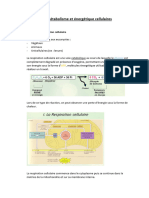 TP 3 PDF