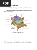 Struktur Sel Tumbuhan