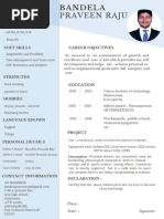 Praveen Resume