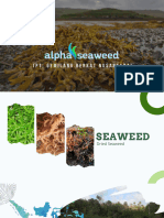 Catalog Alphaseaweed