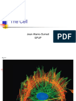 The Cell 1