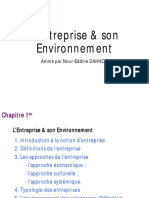 L'Entreprise Son Environnement (1)