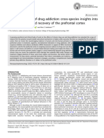 2021 Ceceli, The Neurobiology of Drug Addiction Cross-Species Insights Into The Dysfunction and Recovery of The Prefrontal Cortex