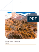 Flora Del Famatina