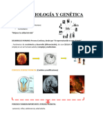 Introduccion A La Embriologia y Genetica 3e12