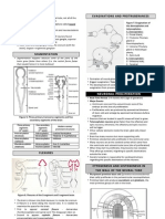 (OS 202A) Neuroembryology.2