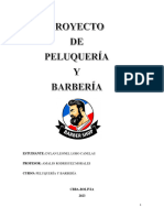 Proyecto de Peluqueria (Autoguardado)