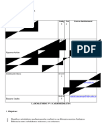 A Informe Lab Bioq 2023 1 Practica 6 Carbohidratos, Chaustre Wendy, - 20231109 - 194812 - 0000