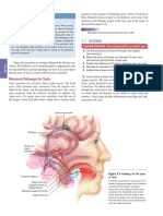 Eye Structure and Functions