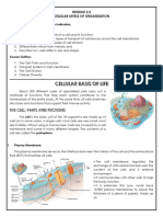 MODULE 2.2 Cellular Level of Organization