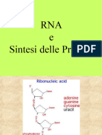 RNA e Sint. Proteica