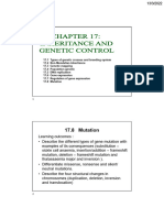 Mutation (Gene Mutation) Notes