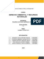 Avance T1 Derecho Ambiental - Rocio