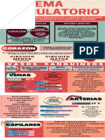 Infografia Cardiovascular