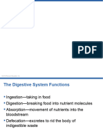 Digestive System Pearson