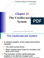 The Cardiovascular System