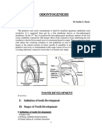 Tooth Development