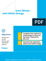 Earth and Life Science SHS 16.3 How Organisms Obtain and Utilize Energy