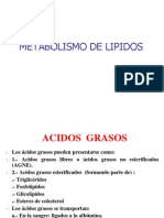 Metabolismo de Lipidos