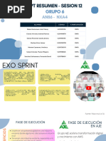 AJE - PPT Resumen - Sesion 12