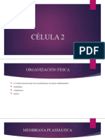 Célula 3