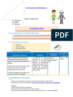 D2 A3 SESION CT. El Sistema Óseo