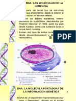 Teoria11 - Dna Con Audio