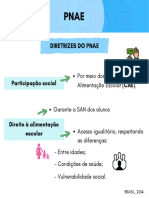 Mapas Mentais - Saúde Pública e Ética Profissional em Nutrição