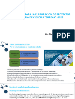 Pautas para Elaborar Un Proyecto