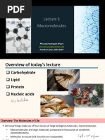 ICBI121 Lecture3 Macromolecule