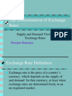 The Determination of Exchange Rates