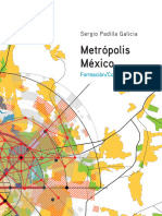 Metrópolis México - FormaciónConsolidación - Padilla Galicia 2016