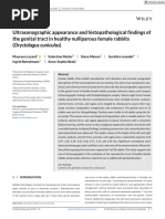 Ultrasonographic Appearance and Histopathological Findings of The Genital Tract in Healthy Nulliparous Female Rabbits