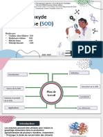 Superoxyde Dismutase SOD