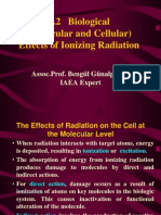 Biological Effects of Ionizing Radiation