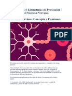 GRUPO 2-6-Estructuras de Protección Del Sistema Nervioso.