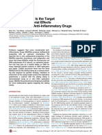 2.DNA Replication Is The Target