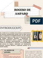 Proceso de Amparo: Frank Cristian Maquera Alfaro Yakelin Shakira Quispe Quispe Fernando Maximo Mamani Apaza Integrantes