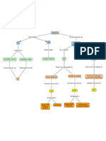 Mapa Conceptual Protocolo