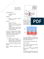 Patologia Vestibular